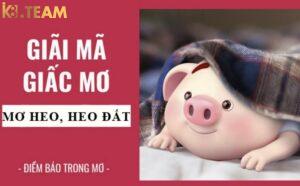 Mơ thấy lợn điềm gì?
